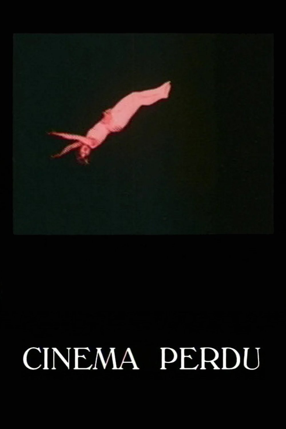Poster de Cinema Perdu - De eerste dertig jaar van de film