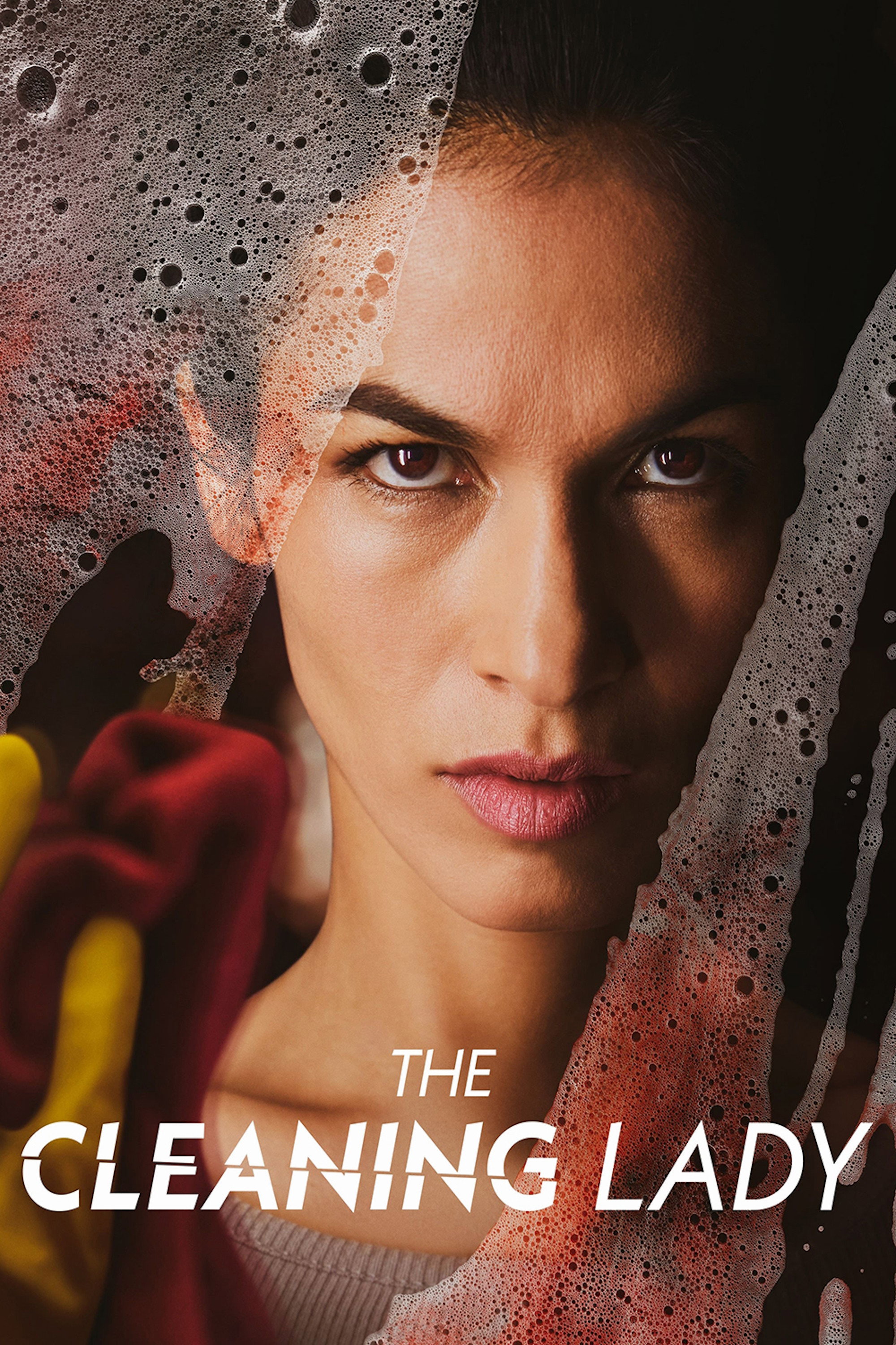 The Cleaning Lady
