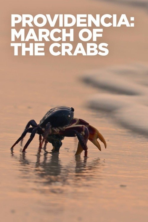Poster de Providencia March of the Crabs