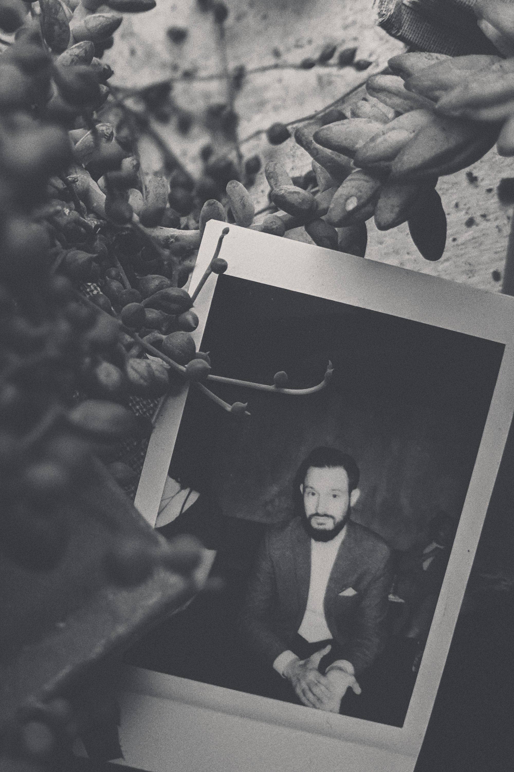 Profil Fotoğrafı