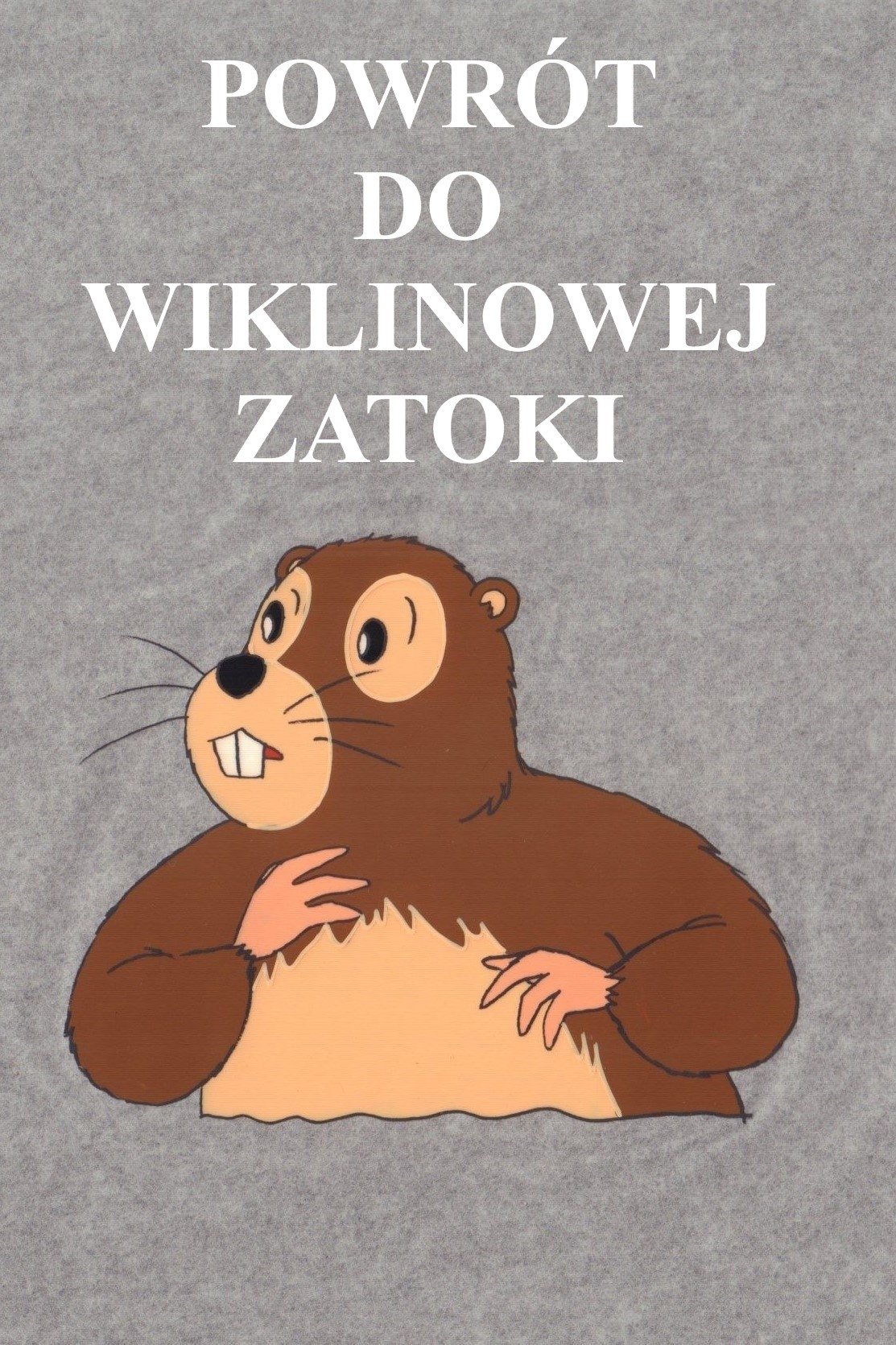 Poster de Powrót do Wiklinowej Zatoki