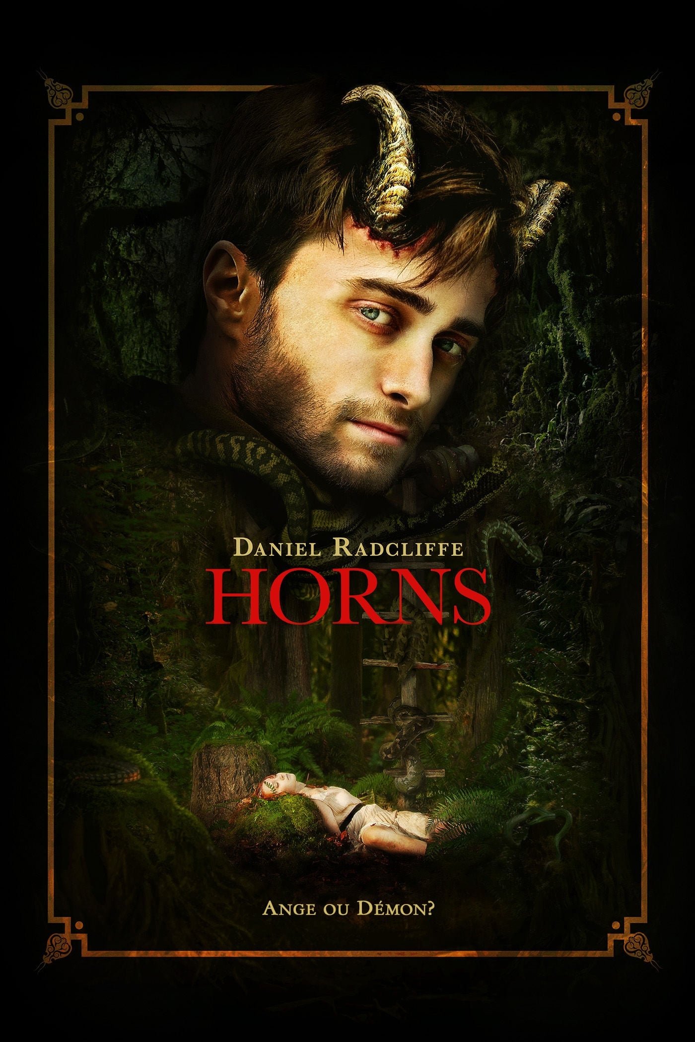 Affiche du film Horns