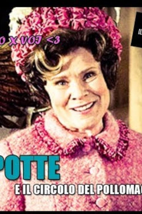 Poster de ERRIPOTTE E IL CIRCOLO DEL POLLOMAGYKO