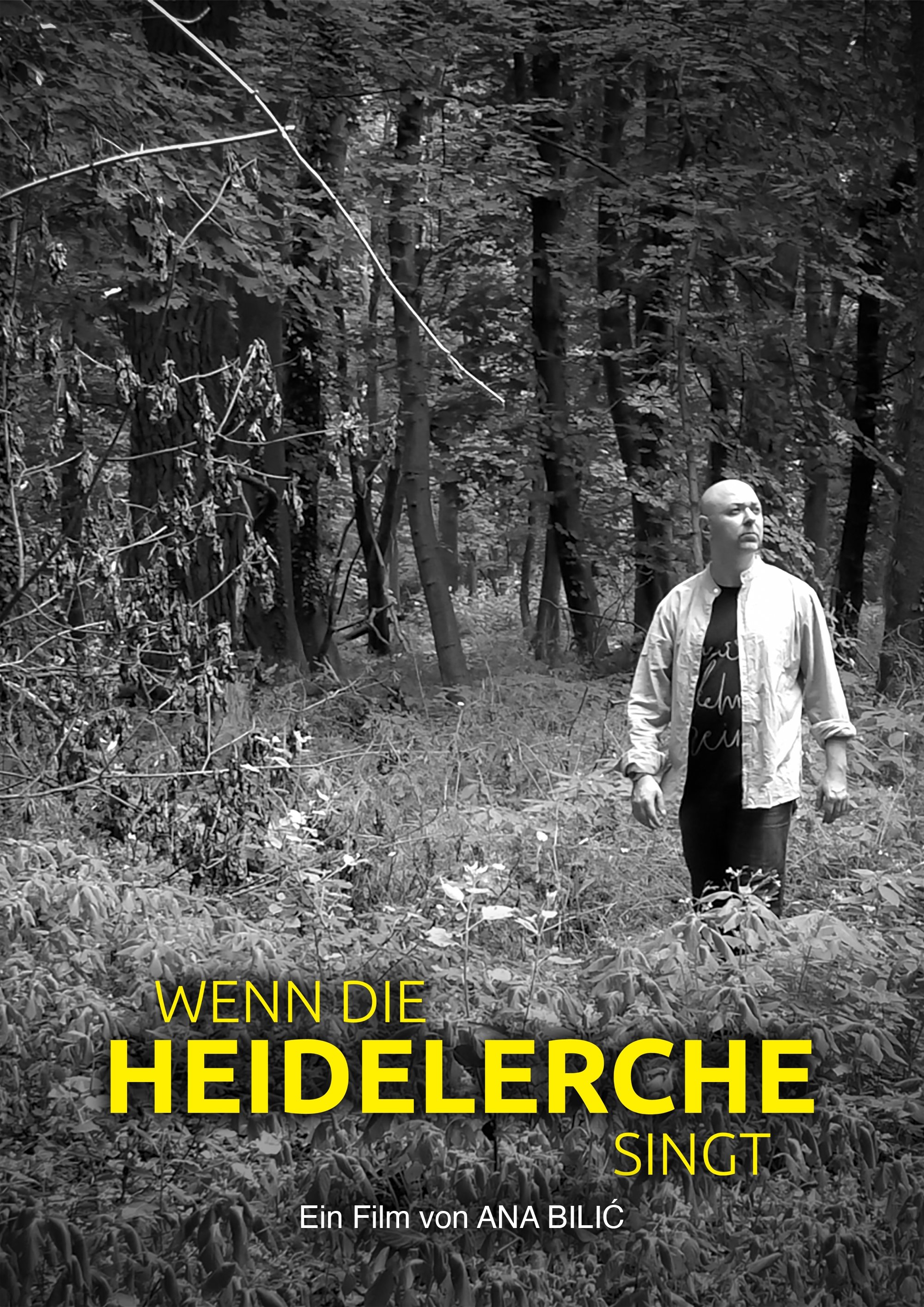 Poster de Wenn die Heidelerche singt