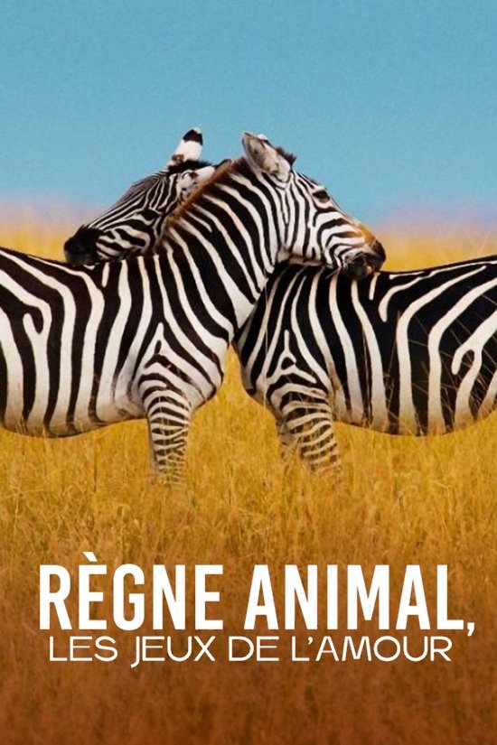 Poster de Règne animal, les jeux de l'amour