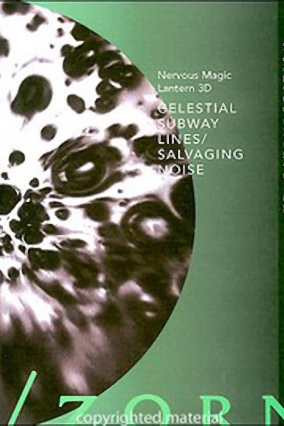 Poster de Celestial Subway Lines/Salvaging Noise