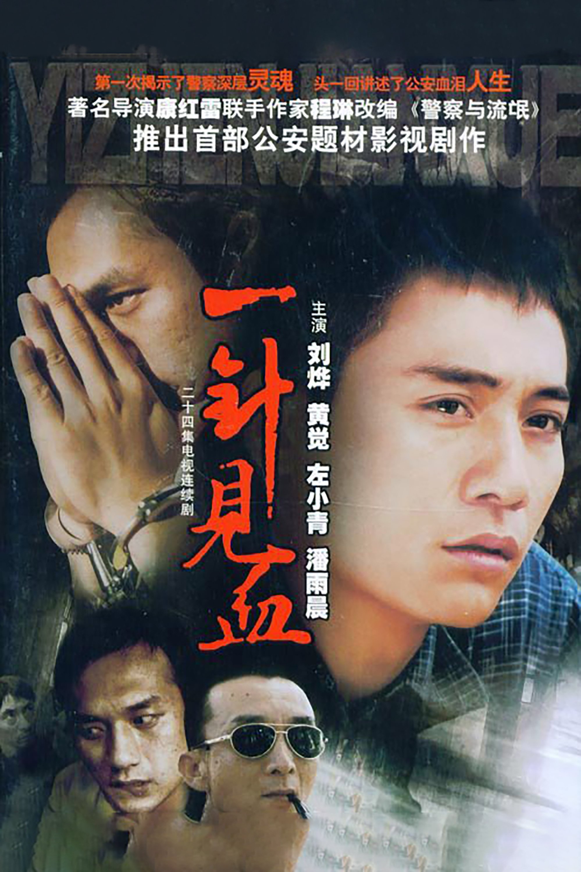 Poster de 一针见血