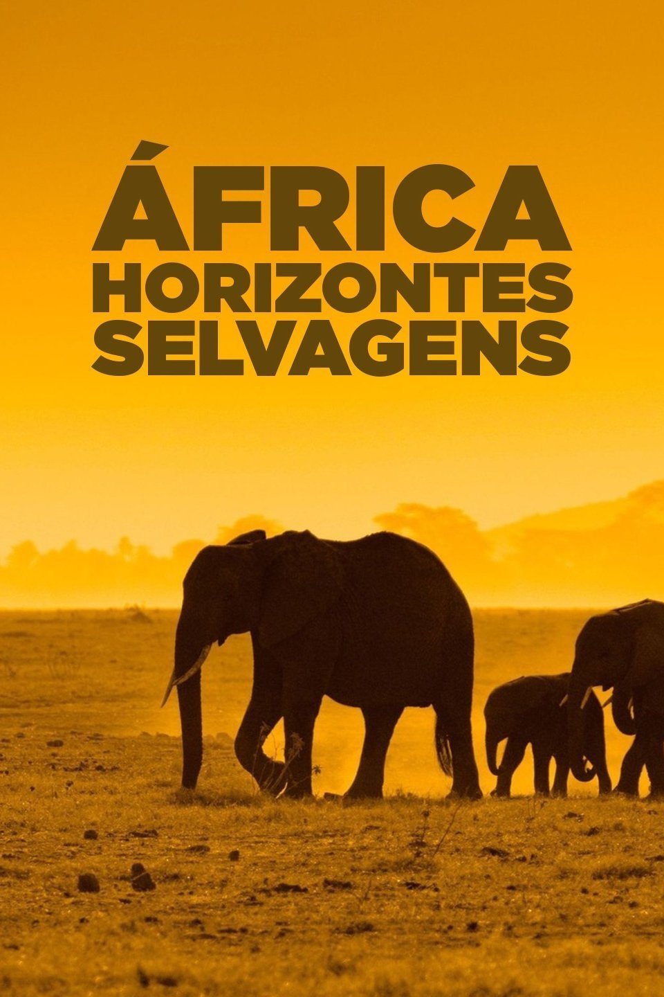 Poster de África: Horizontes Selvagens