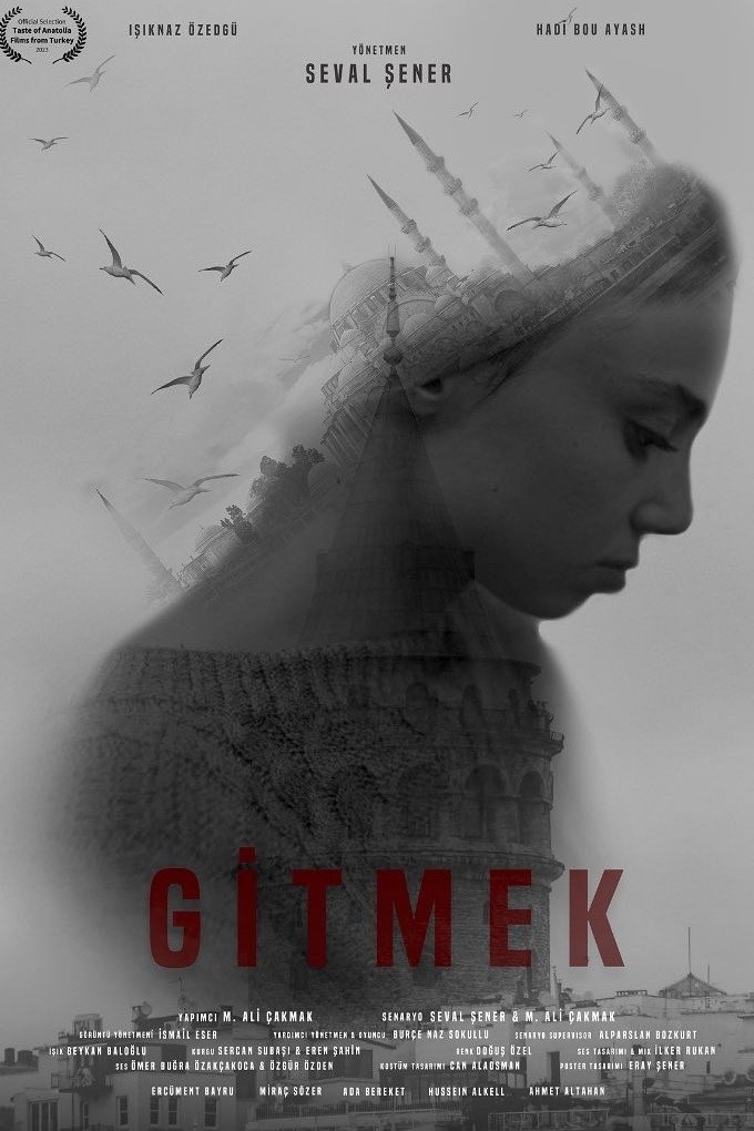 Poster de Gitmek