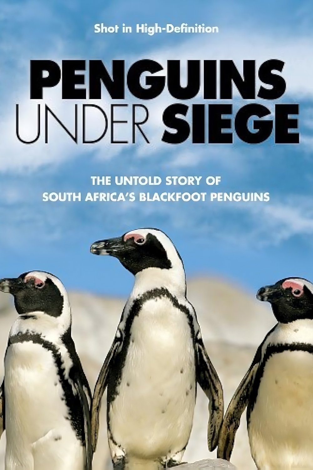 Poster de Penguins Under Siege