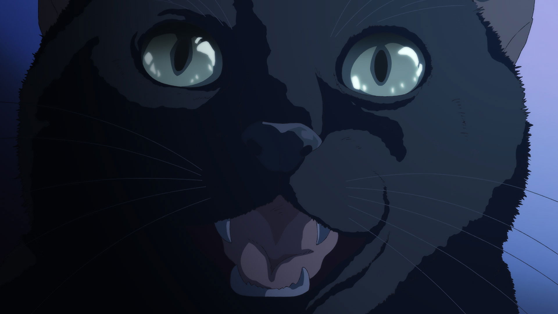 The Wicker Basket That Must Not Be Opened