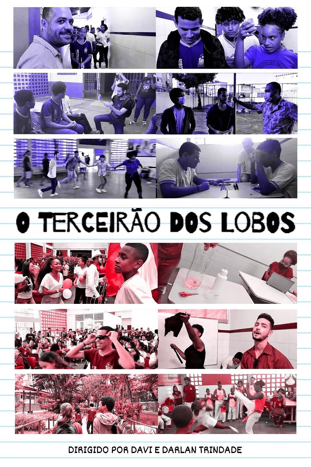 Poster de O Terceirão dos Lobos