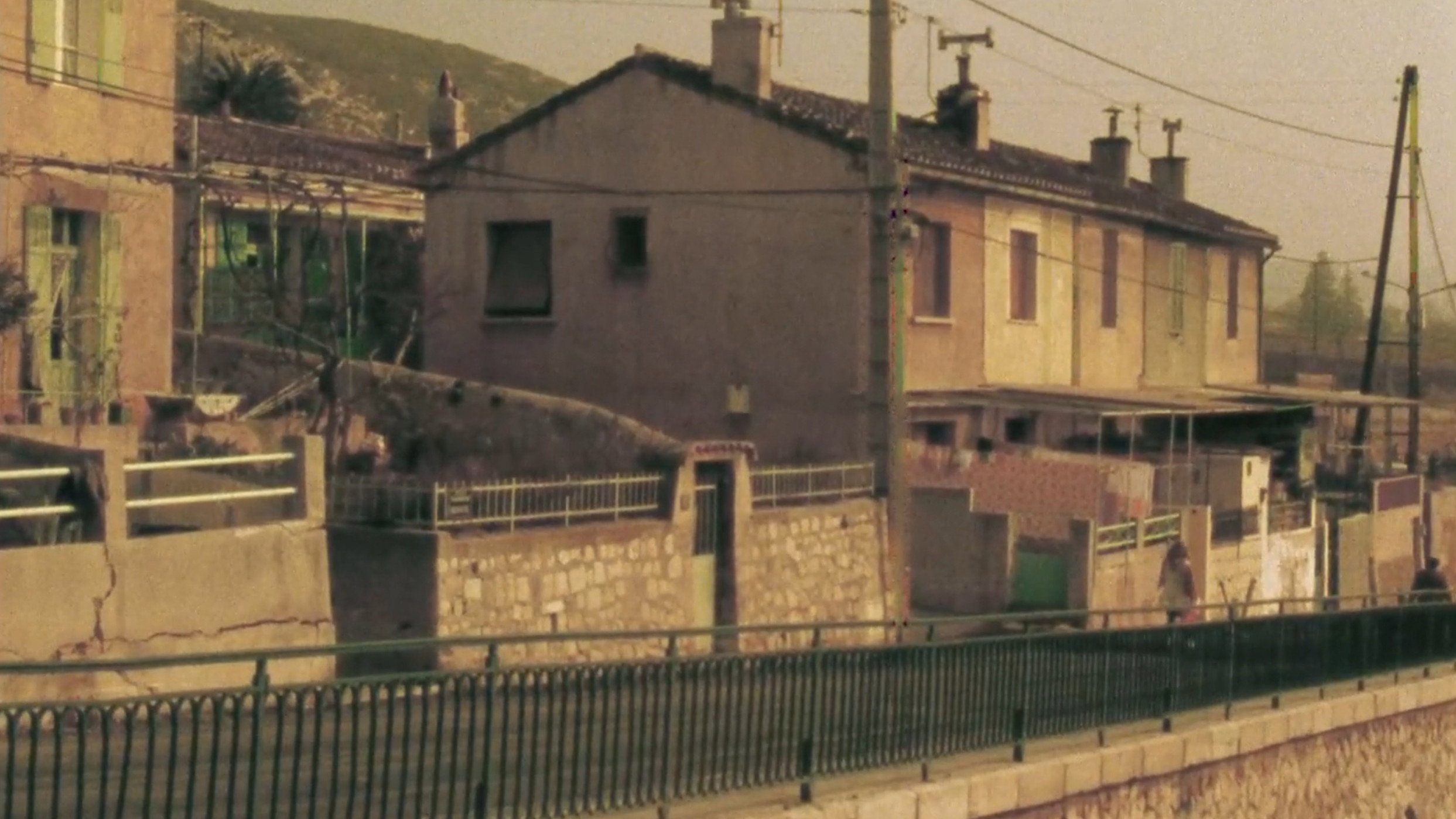 Director