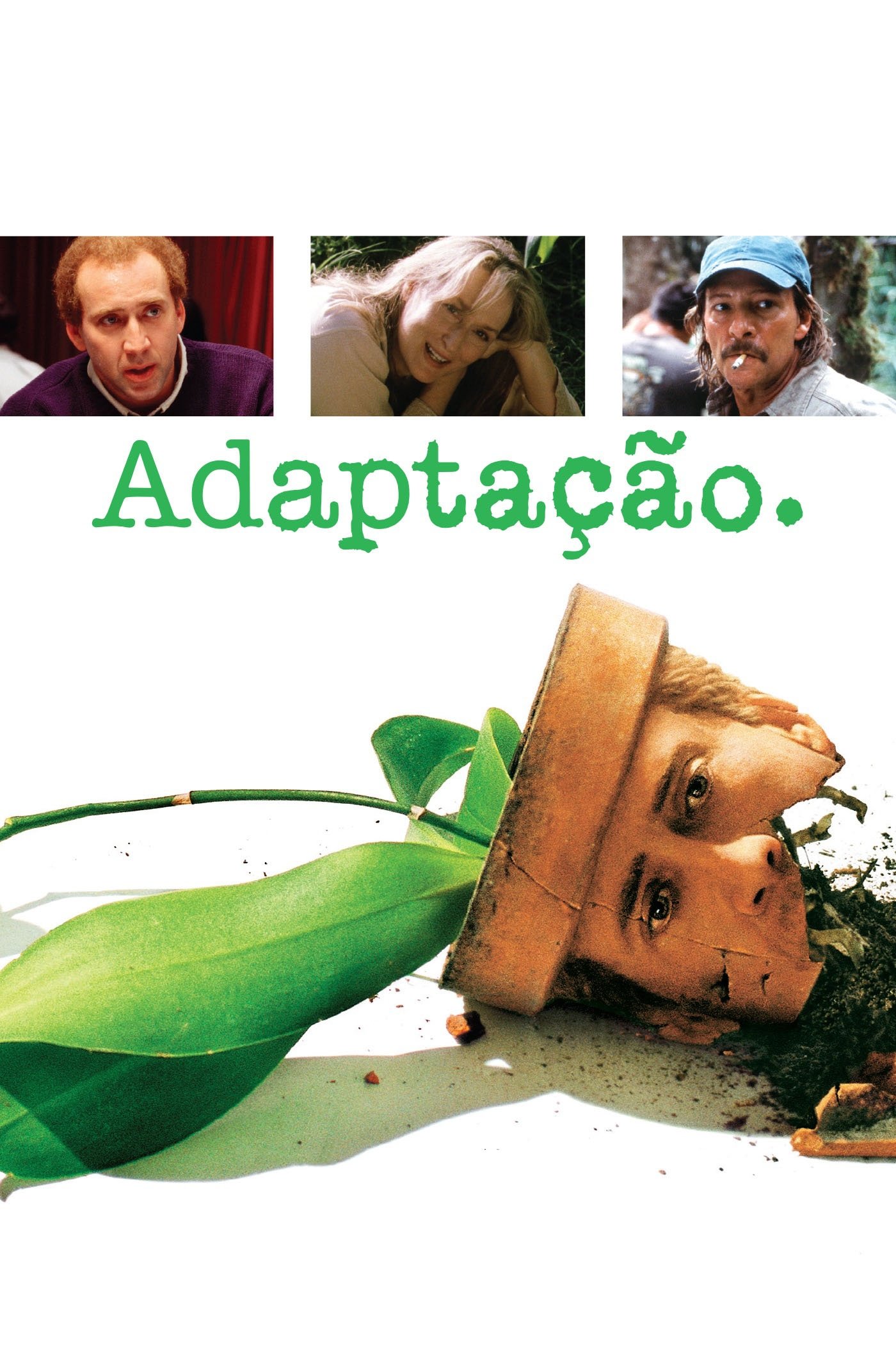Poster de Adaptação.