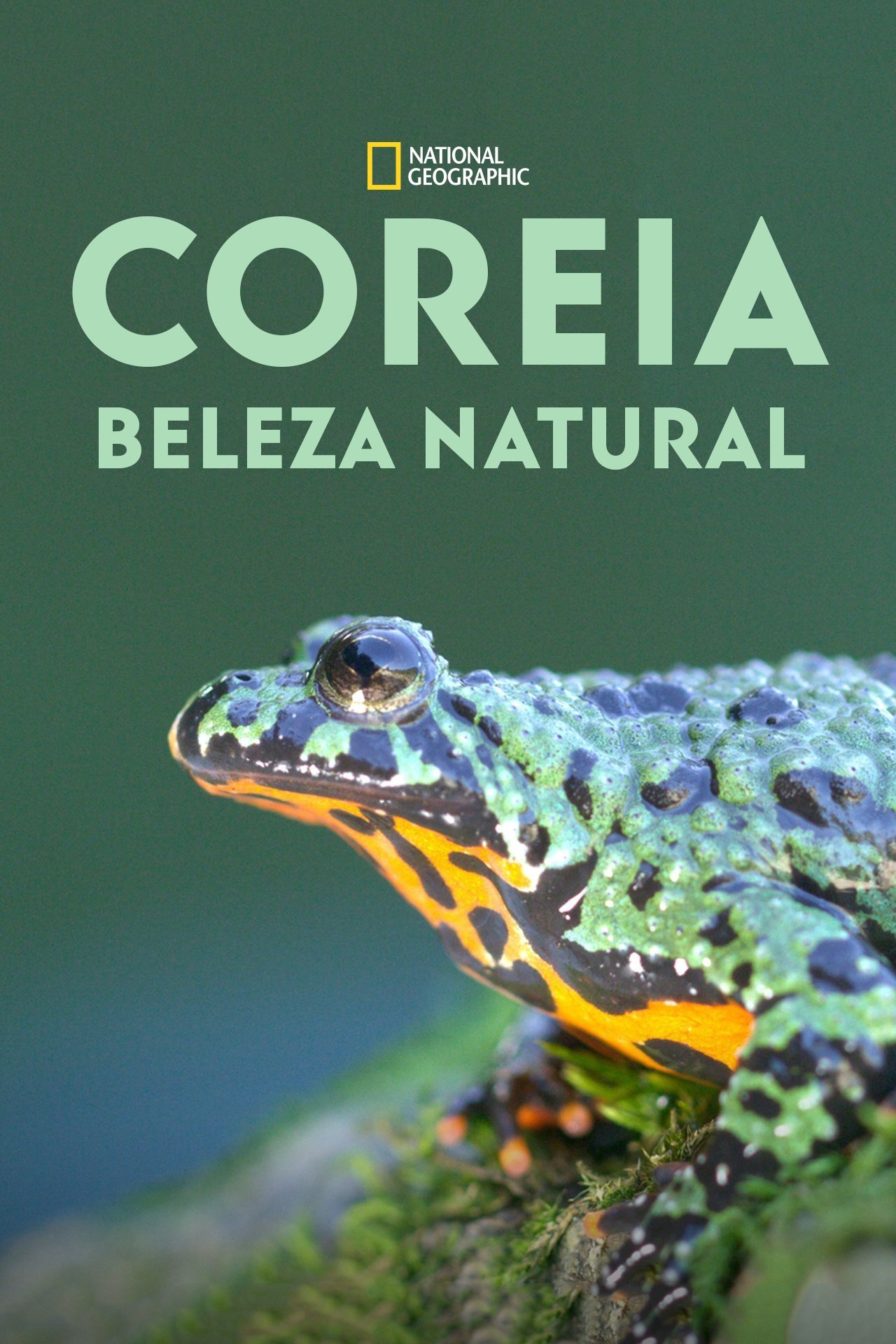 Poster de Coreia: Beleza Natural