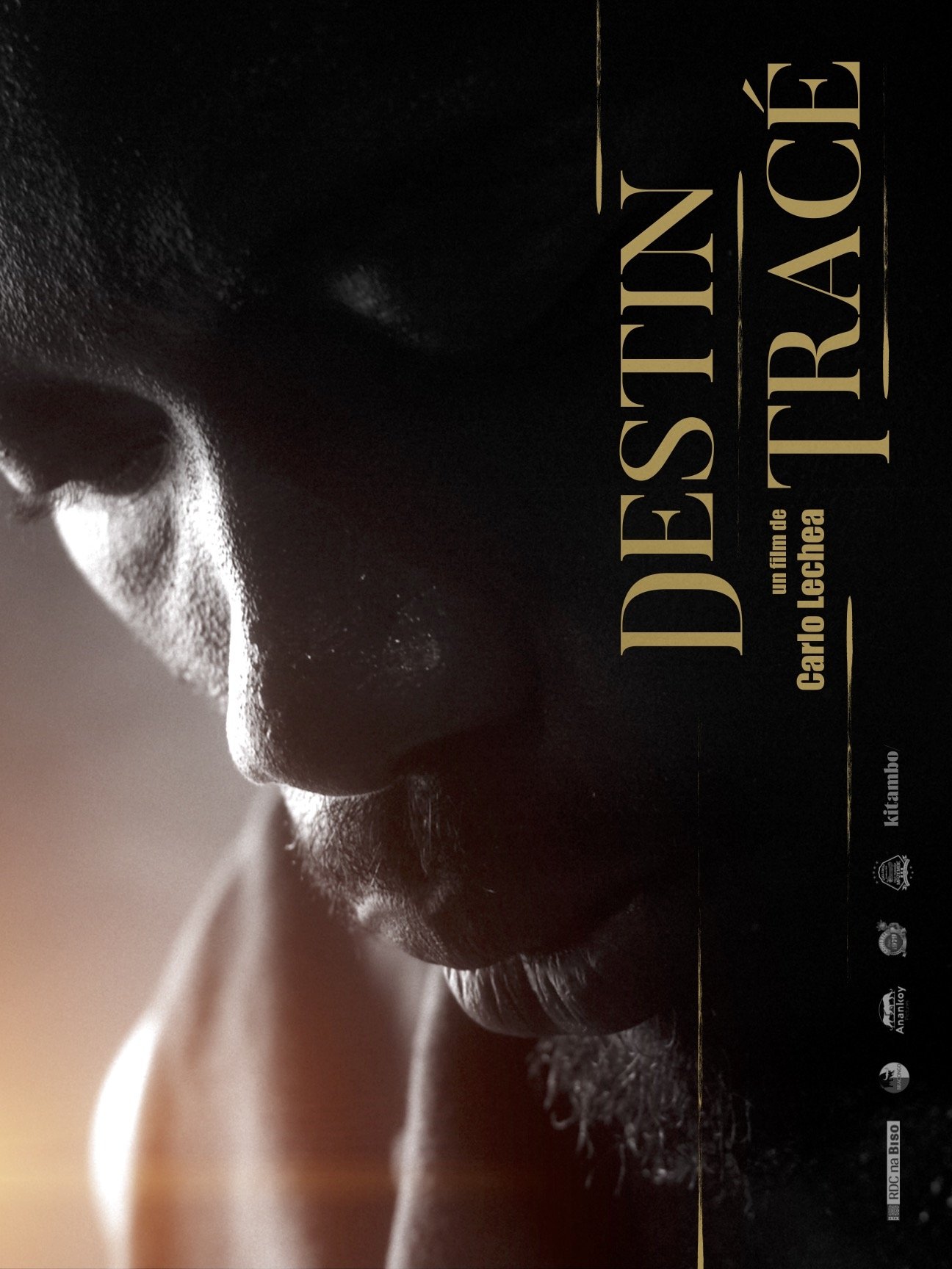 Poster de Destin Tracé