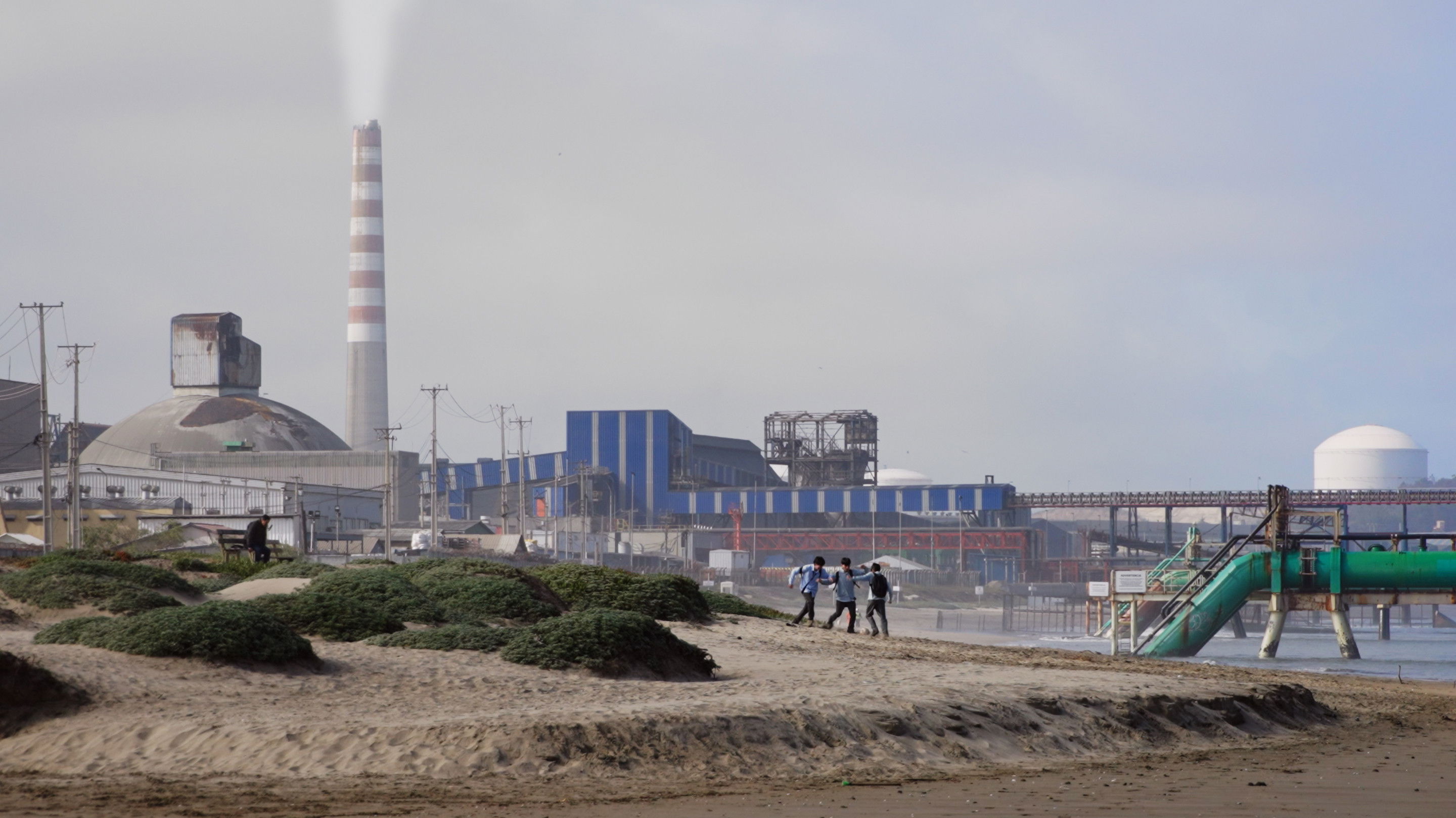 Francisca Zamorano Coray