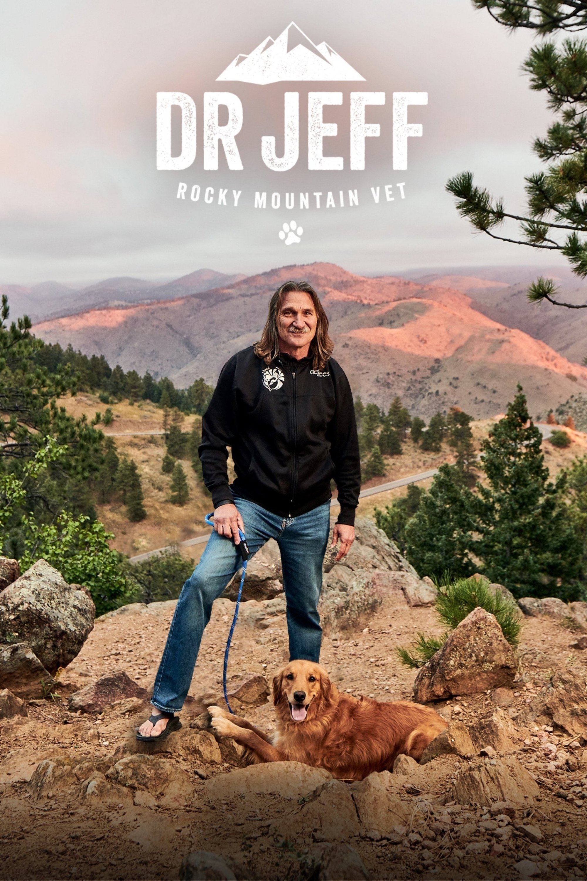 Poster de Veterinário das Montanhas