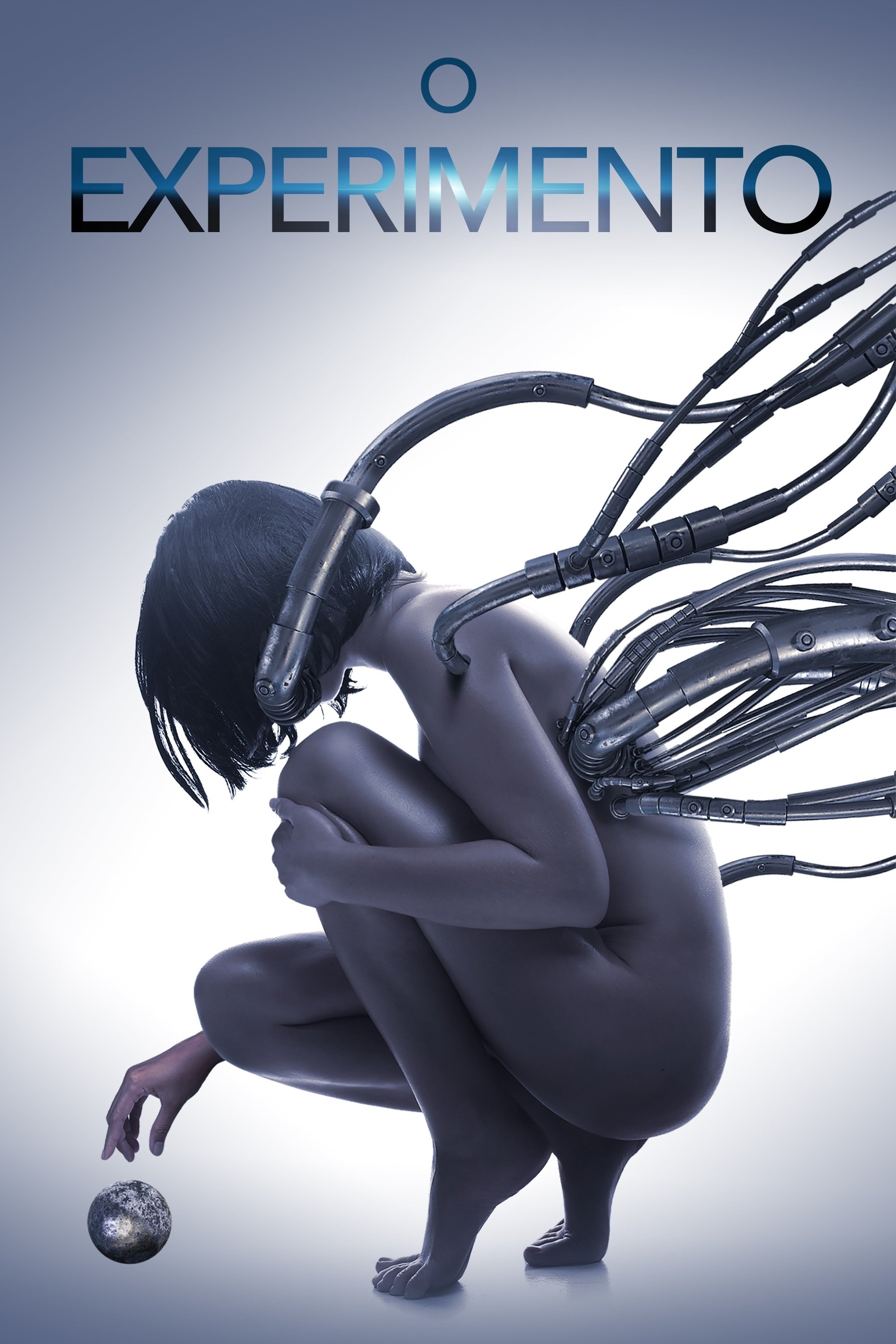 Poster de O Experimento