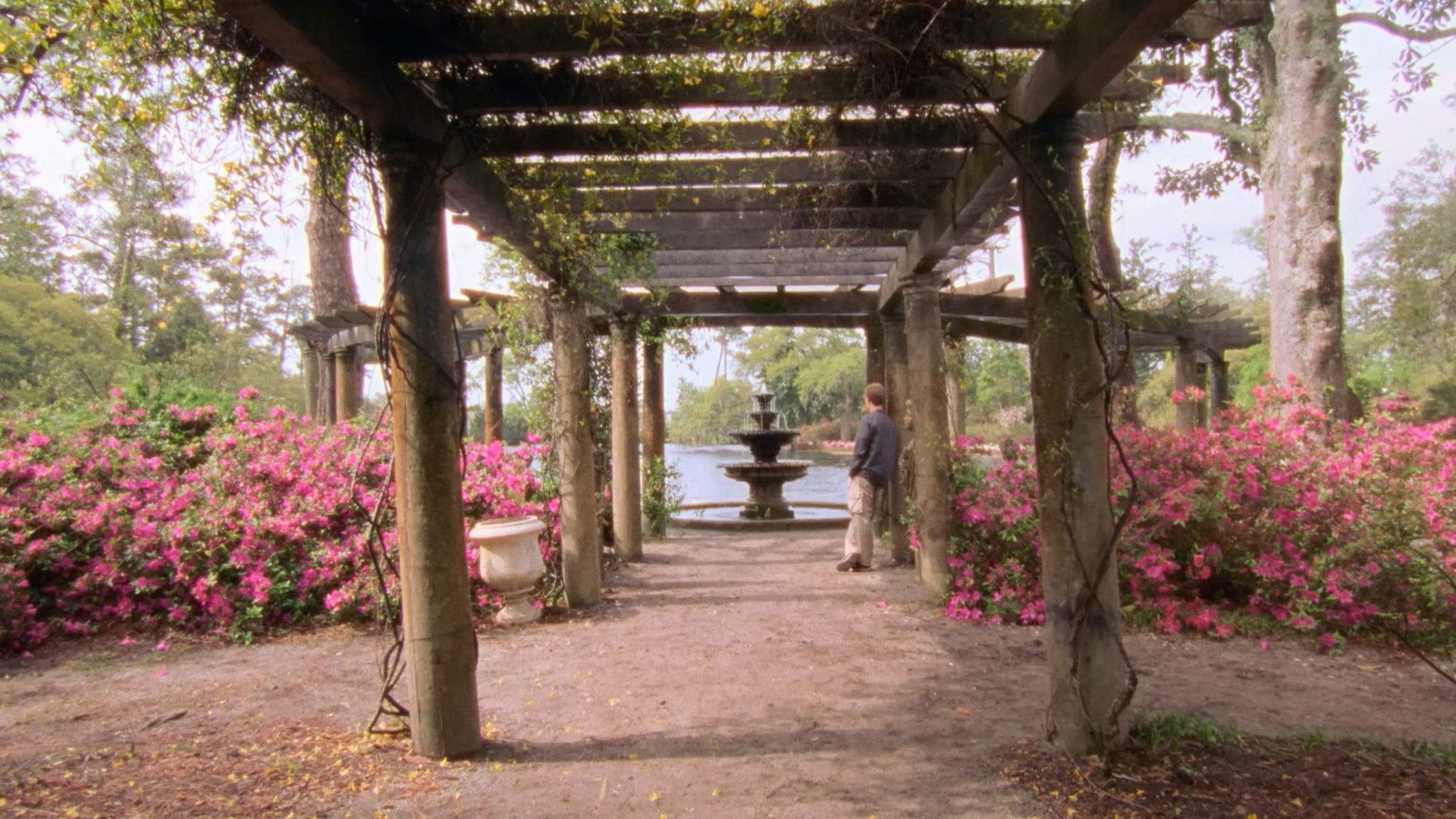 Joey Potter and the Capeside Redemption