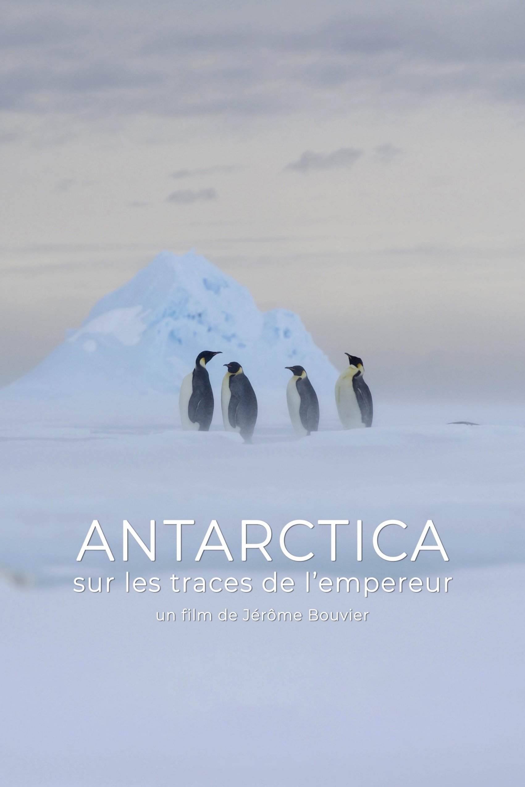 Poster de Antarctica, sur les traces de l'empereur