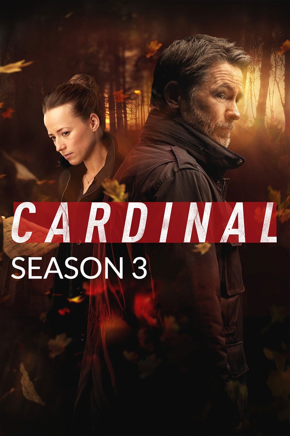 Poster de Temporada 3