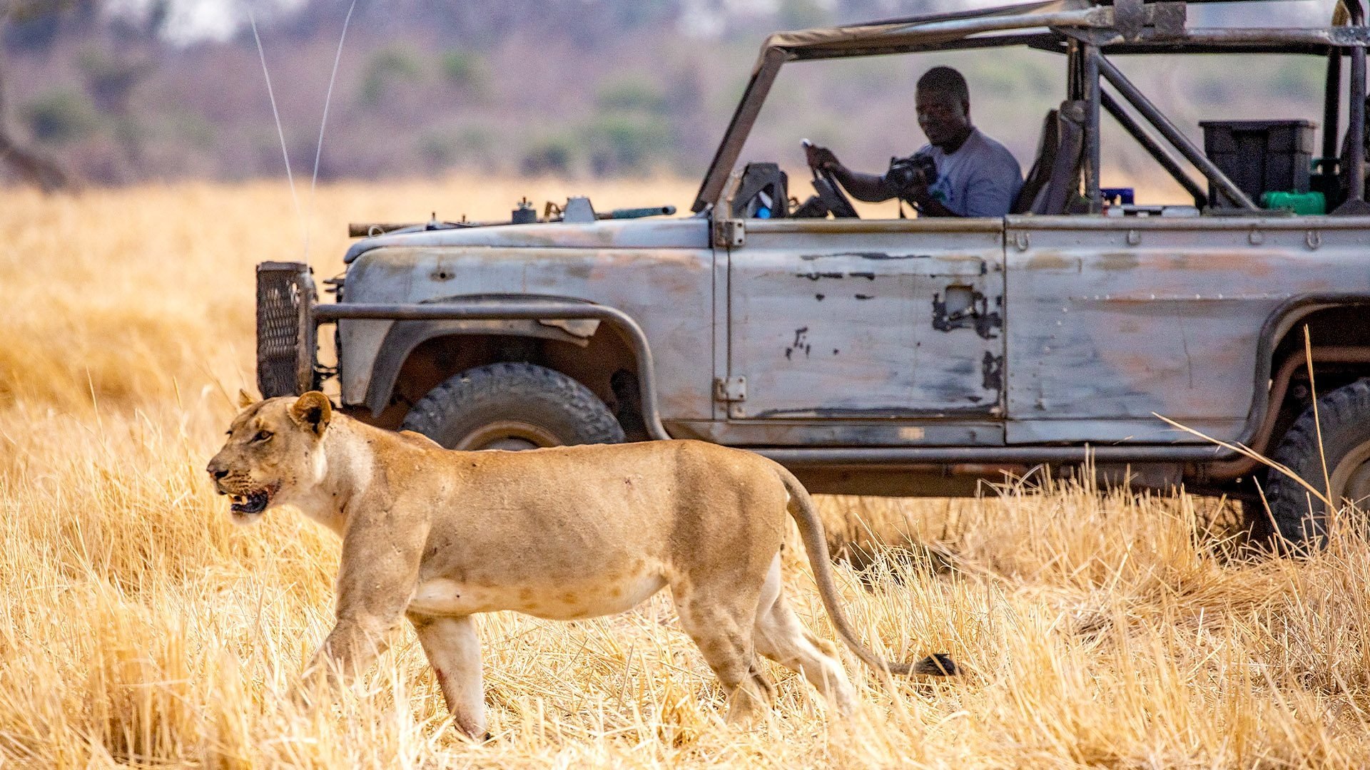 The Secret Story of Kingdom