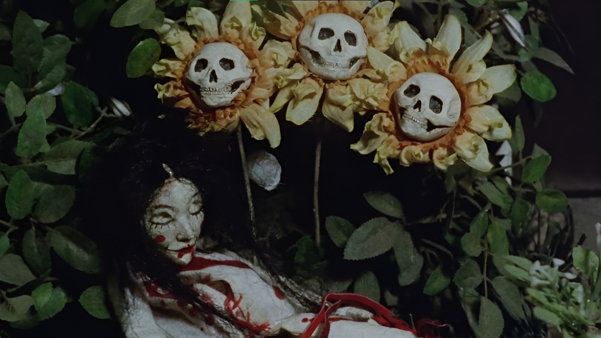 Backdrop image