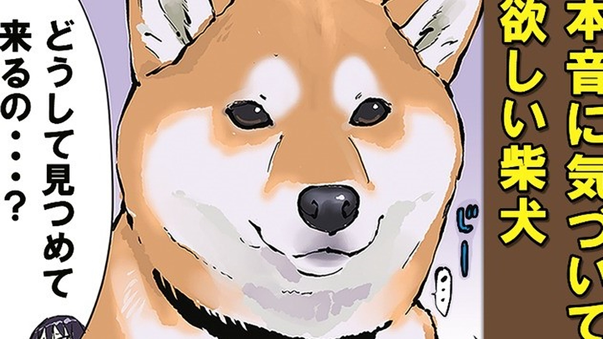 Autumn Leaf Burning / Kokkuri-san