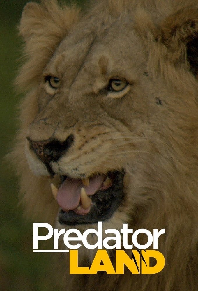 Poster de África - Presas vs. Predadores