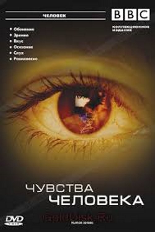 Poster for Human Senses