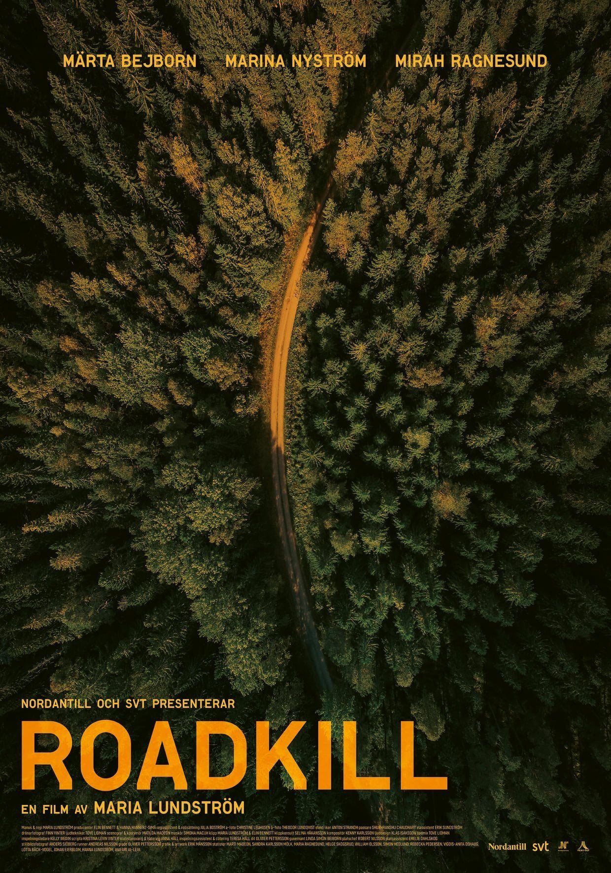 Poster de Roadkill