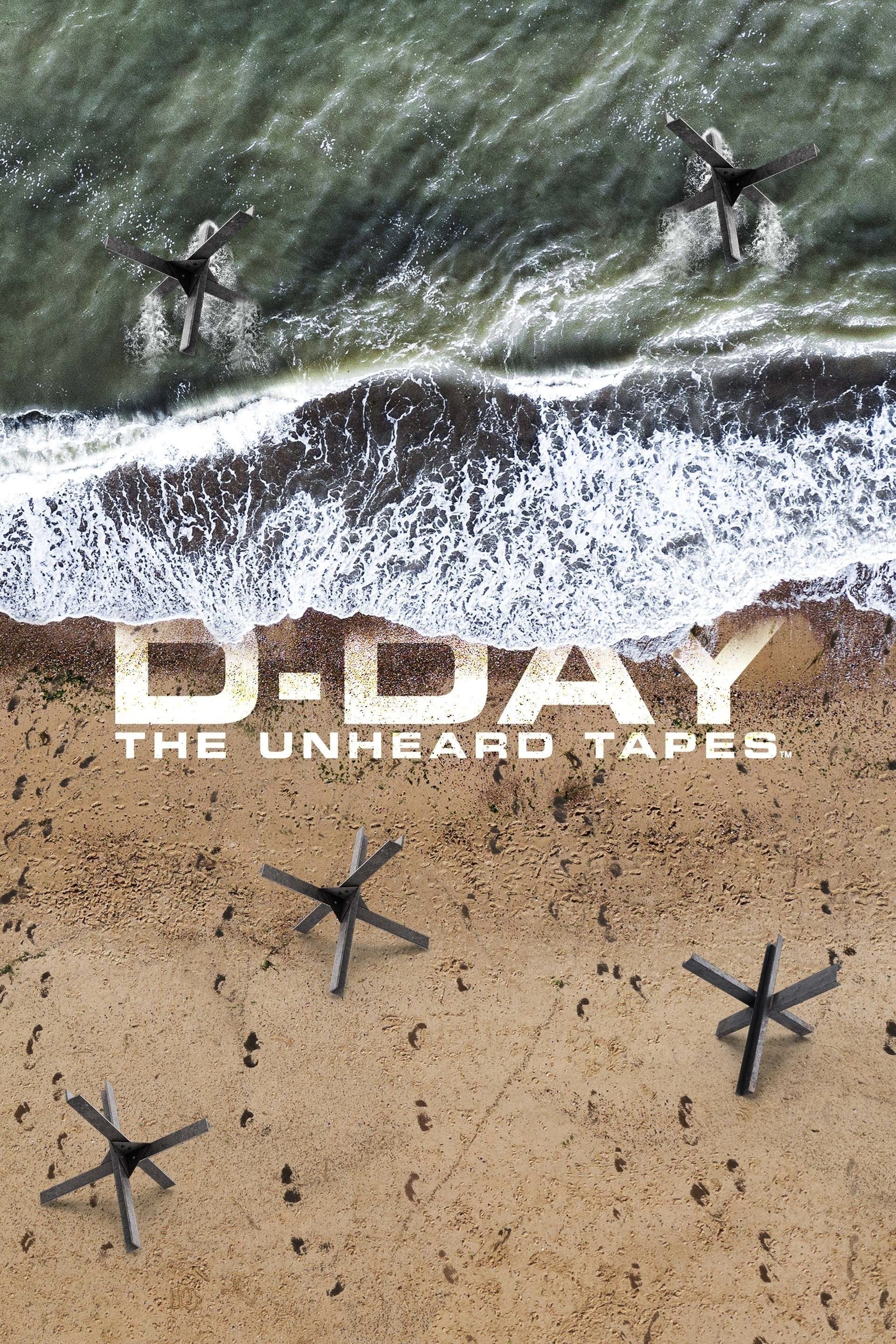 Poster de The D-Day Tapes
