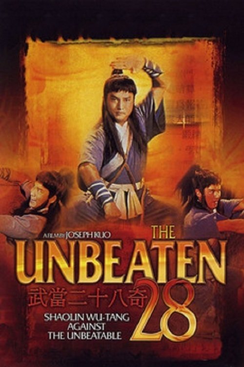 Poster de 武當二十八奇