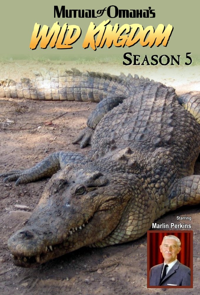 Poster de Temporada 5