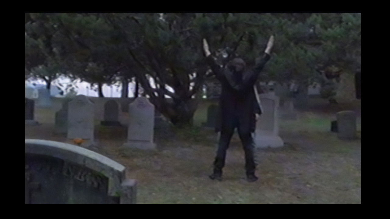 Production Dailies 2