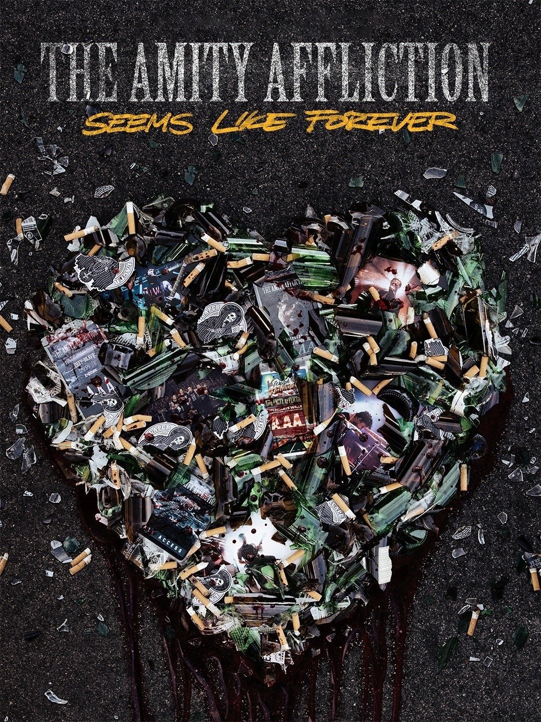 Poster de The Amity Affliction - Seems Like Forever