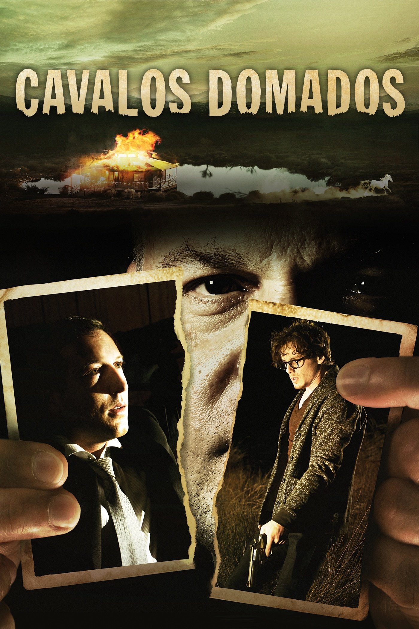 Poster de Cavalos Domados