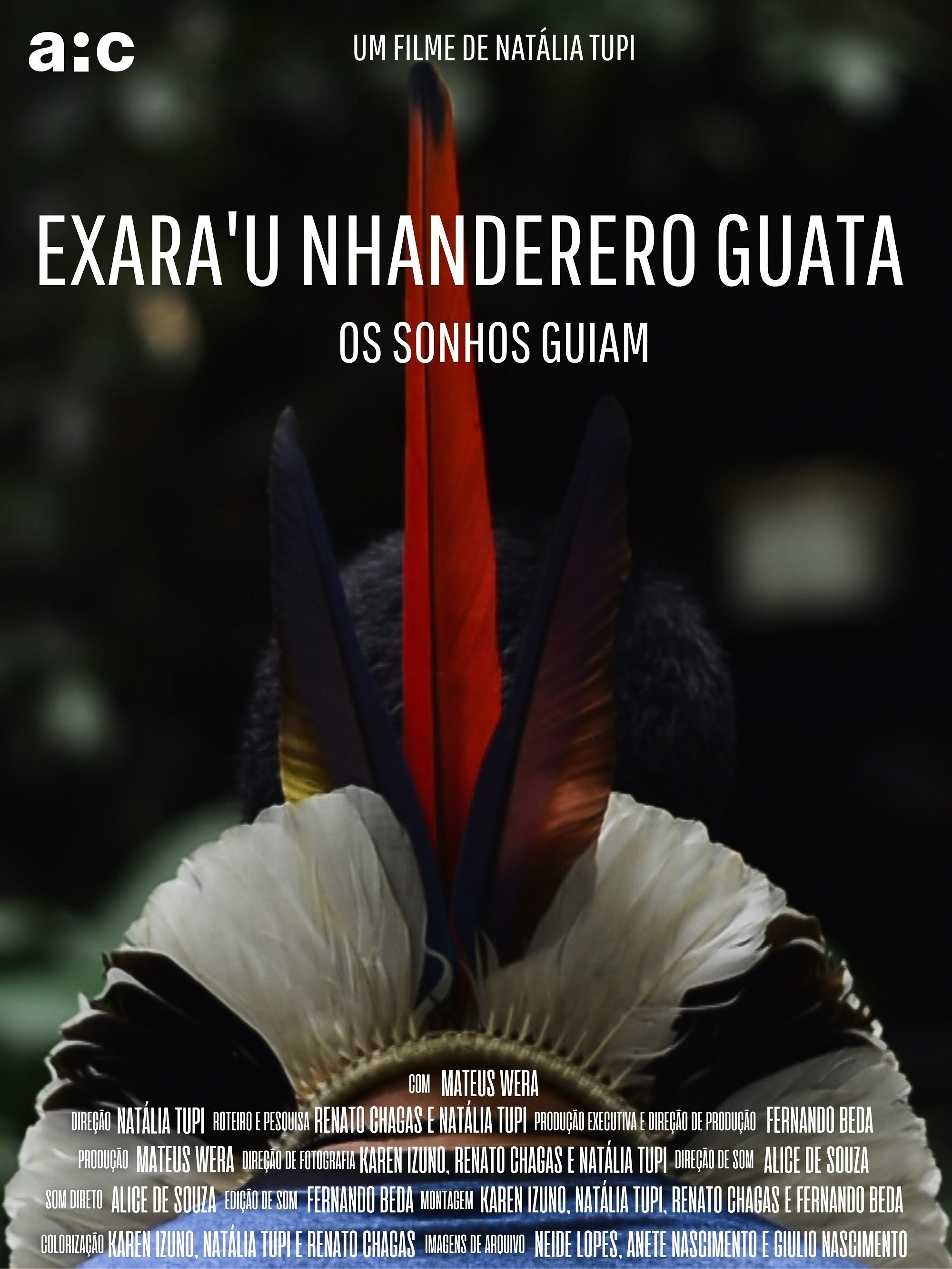 Poster de Os Sonhos Guiam