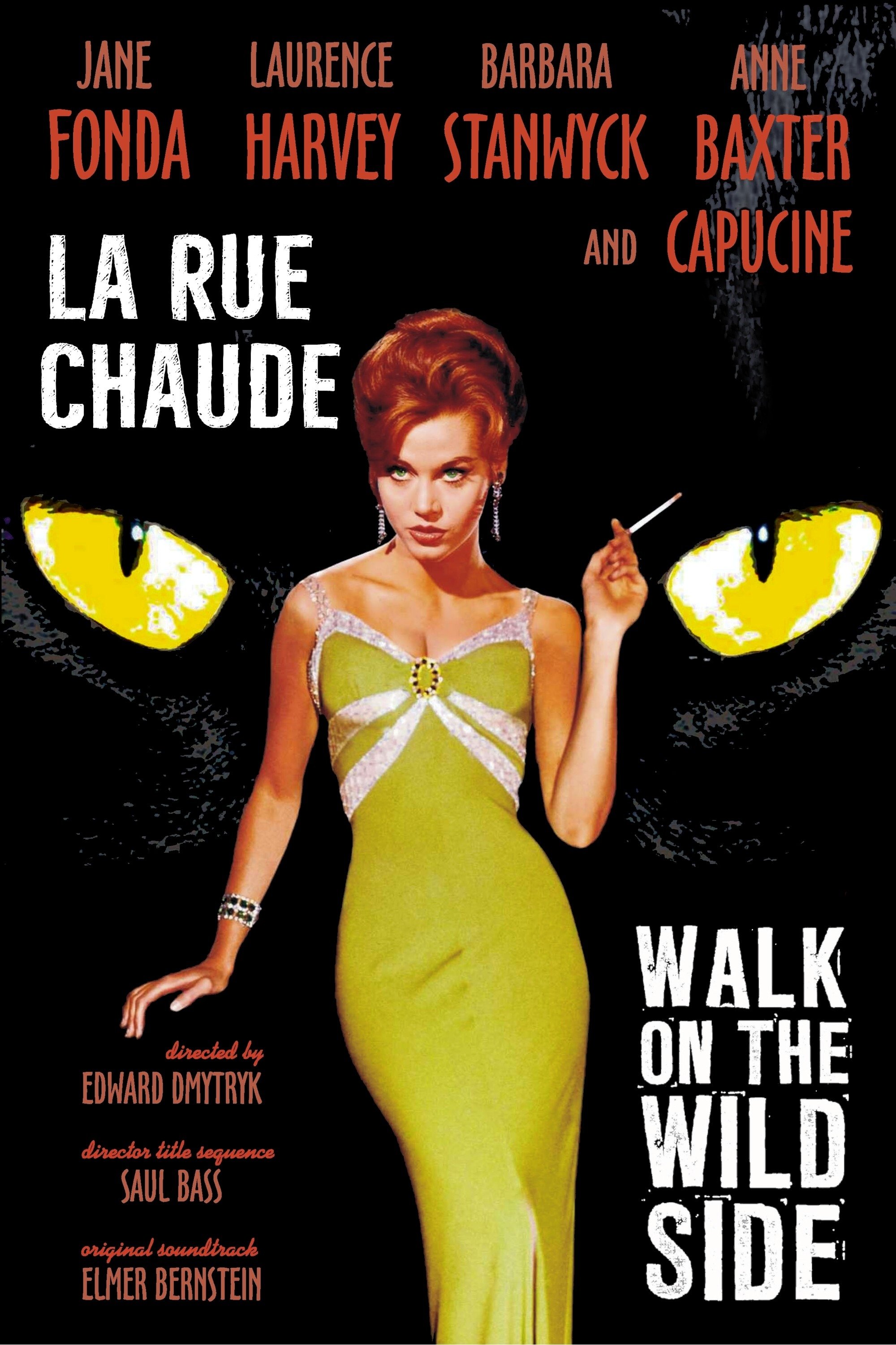 Affiche du film Walk on the Wild Side