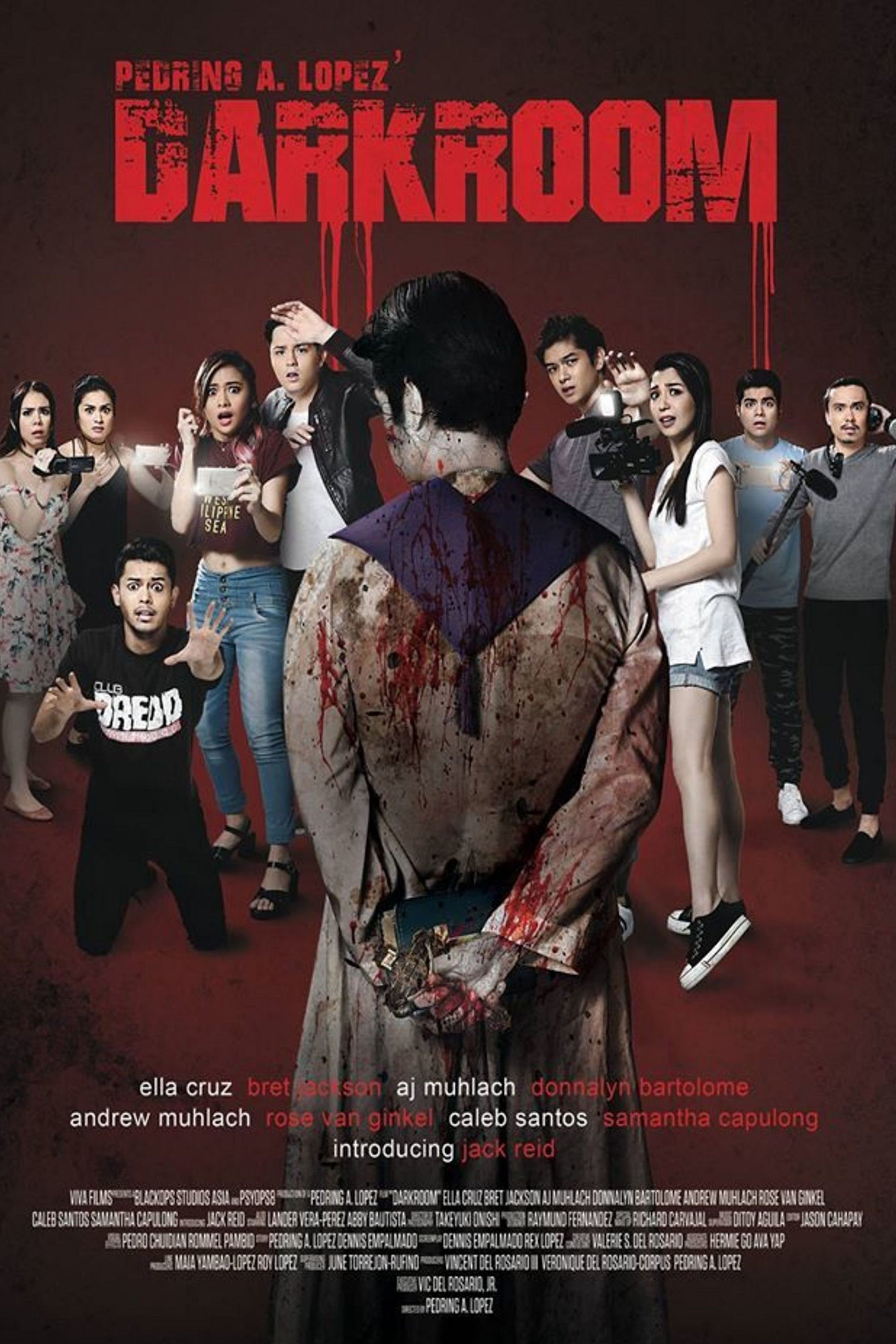 Poster de Darkroom