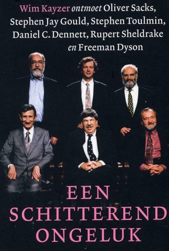 Poster de Een schitterend ongeluk