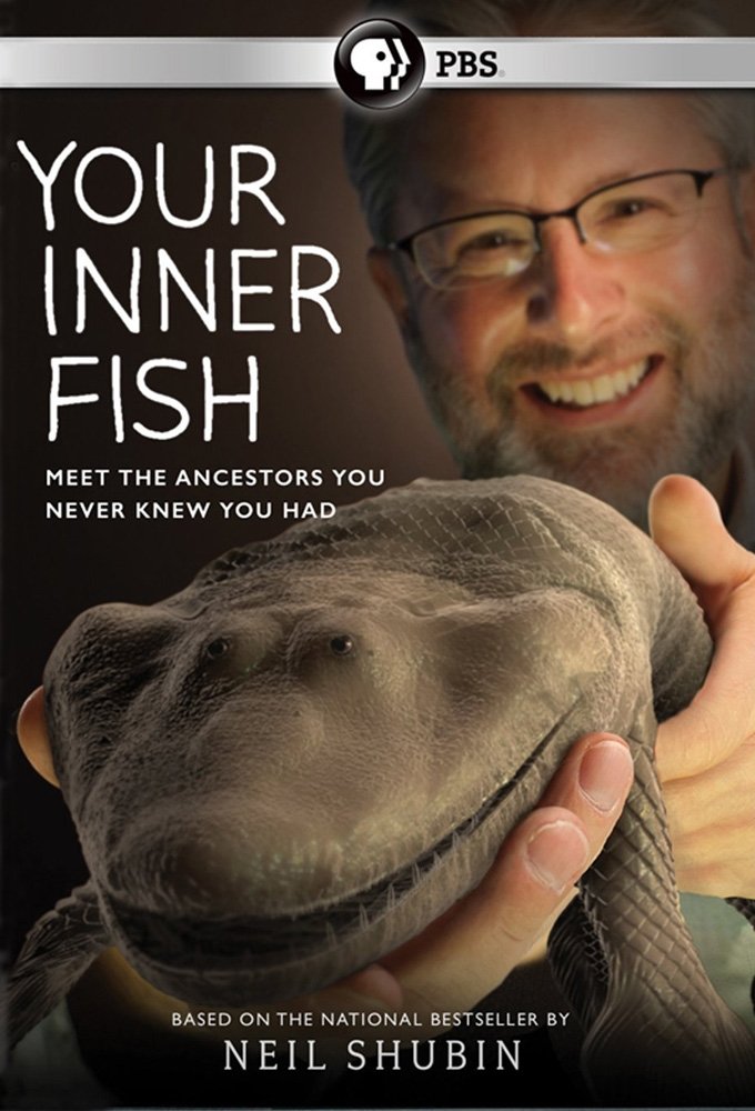 Poster de Your Inner Fish