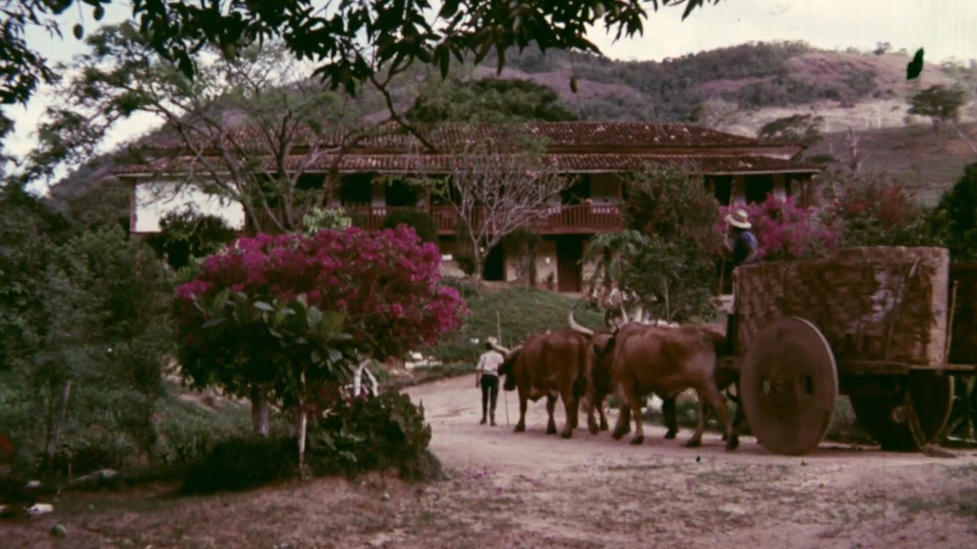 Backdrop image