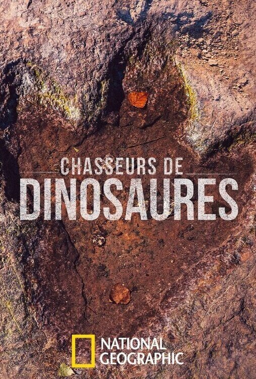 Poster de Chasseurs de dinosaures