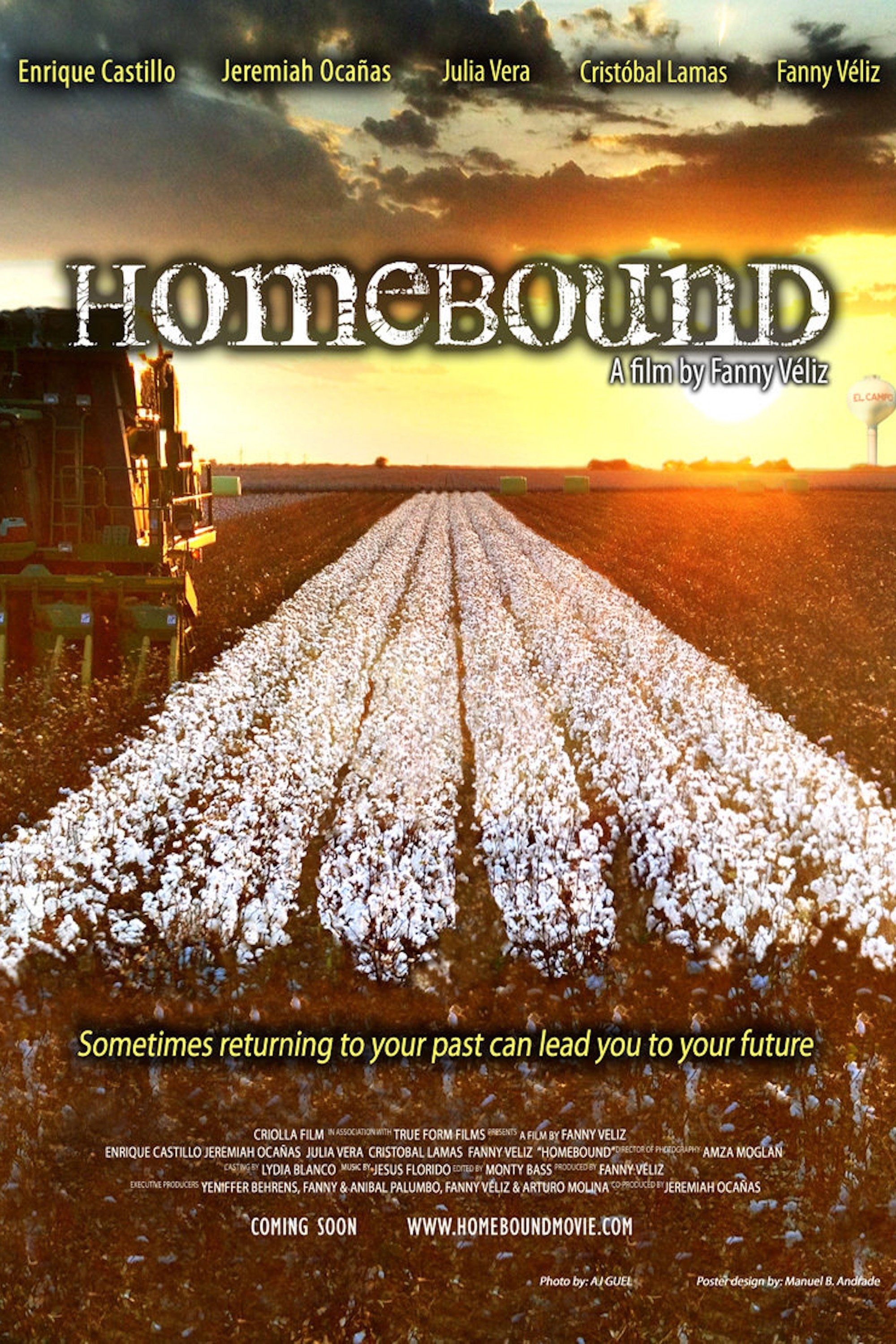 Affiche du film Homebound