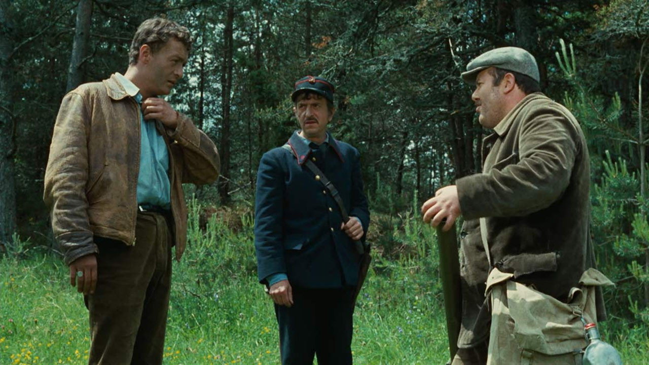 Director