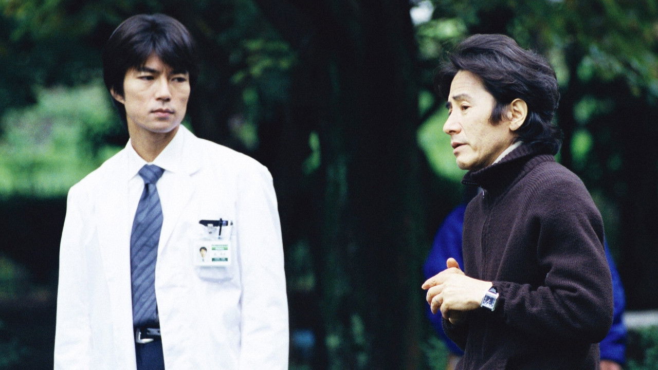 what the Patient saw