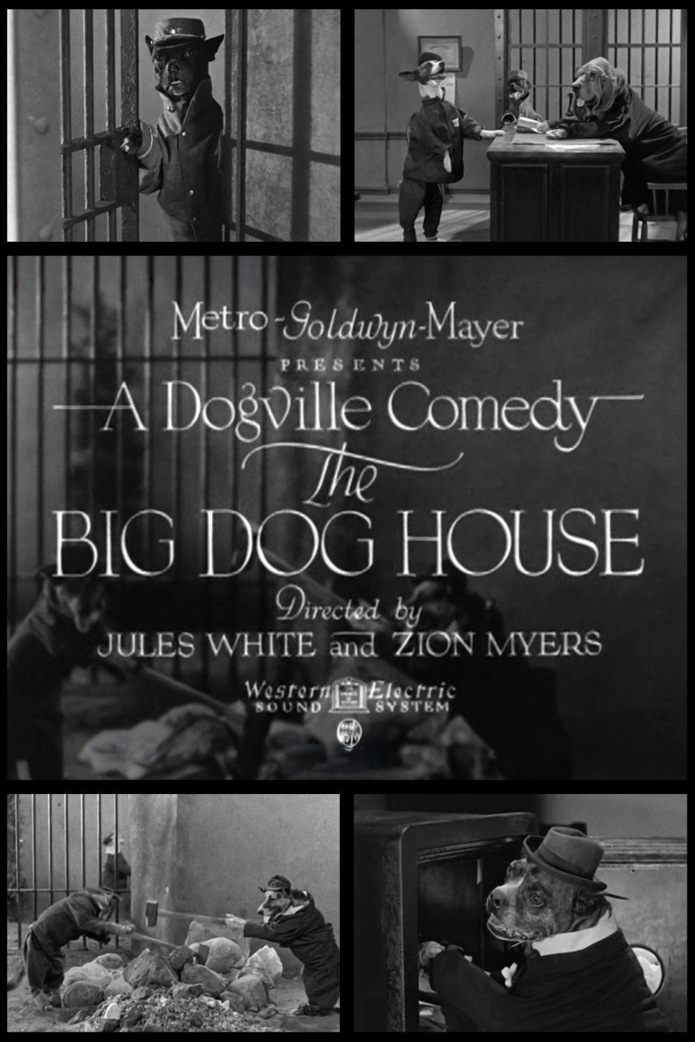 Poster de The Big Dog House