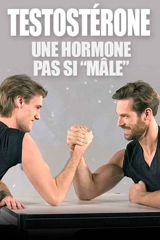 Poster de Testosteron - Der Stoff aus dem die Männer sind